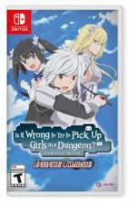 IS IT WRONG TO TRY TO PICK UP GIRLS IN A DUNGEON SWITCH