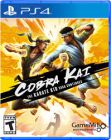 COBRA KAI THE KARATE KID SAGA CONTINUES PS4