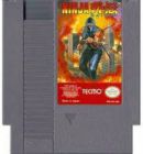 NINJA GAIDEN  SEUL NES